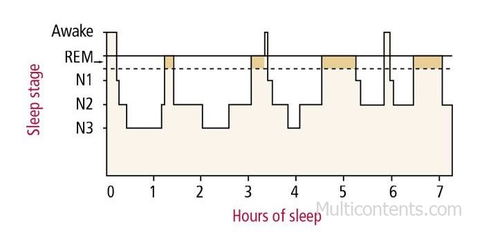 Kiến trúc của chu kỳ giấc ngủ - Multicontents